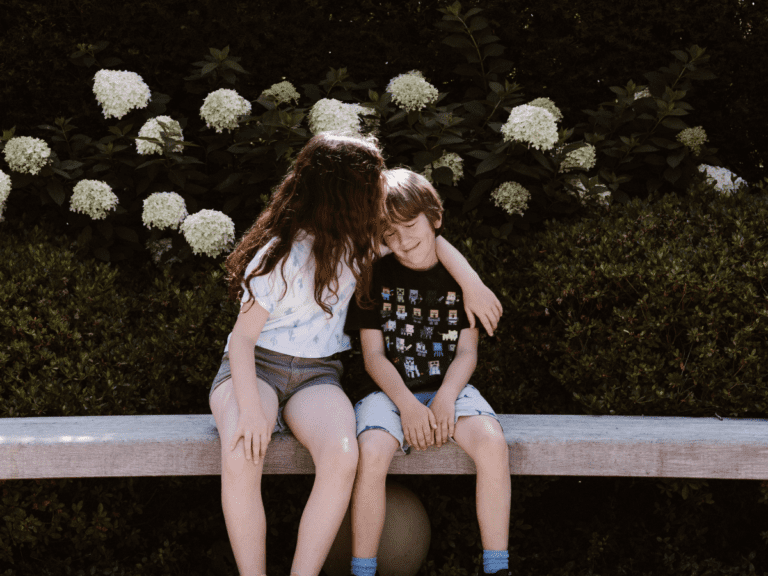 Medial plica of the knee